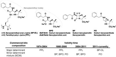 The Role of Benzylpenicilloyl Epimers in Specific IgE Recognition